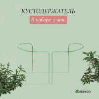 Набор из 2 зеленых кустодержателей