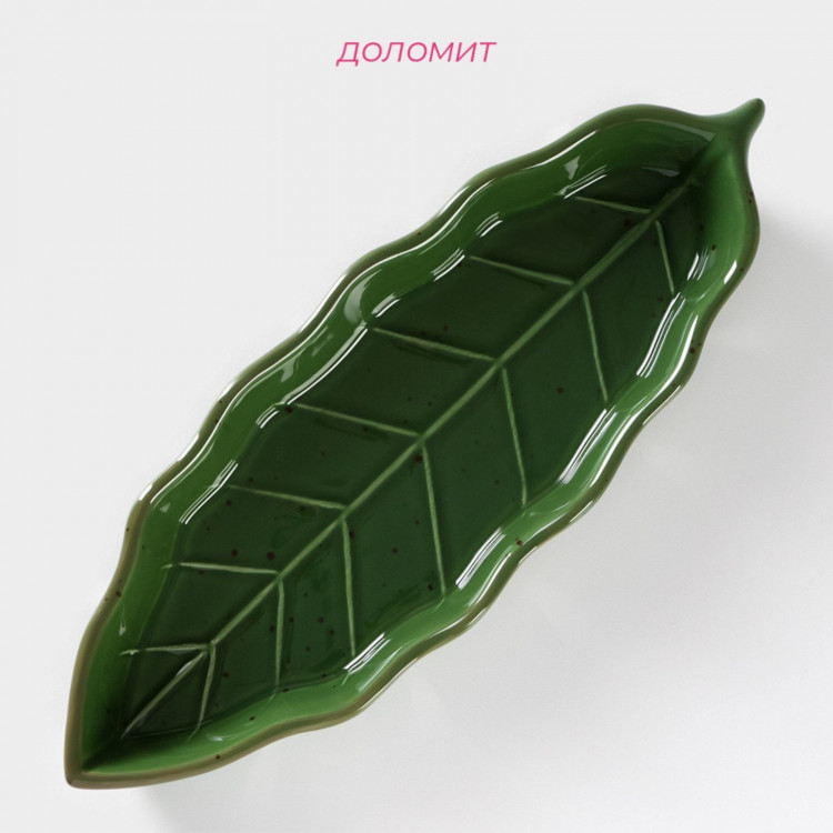 Блюдо сервировочное Доляна «Лист», 25×9×2,8 см, цвет зелёный 