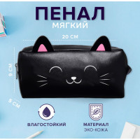 Пенал мягкий 1 отделение 90 х 200 х 50 мм, объёмный, кожзам, Calligrata  Котик 