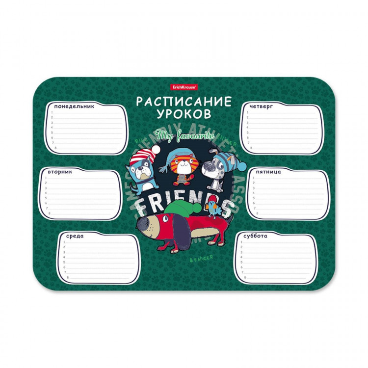 Расписание уроков пластиковое ErichKrause® Adventure Friends, А4 