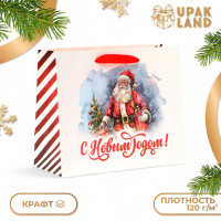 Новый год. Пакет подарочный новогодний бумажный,  Дед Мороз , 24 х 20 х 11 см.
