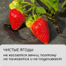 Черный мульчирующий материал с перфорацией и УФ-стабилизатором (5х1,6 м)