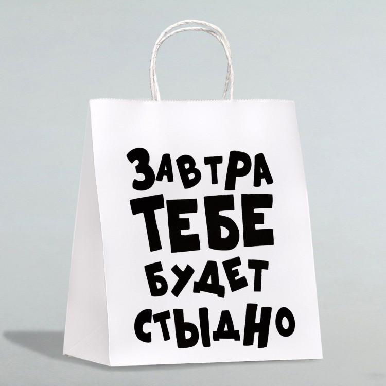 Подарочный пакет  Завтра тебе будет стыдно  - 30 х 24 см. 