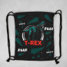 Мешок для обуви «1 сентября: T-REX» текстиль, размер 30 х 40 см
