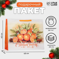 Новый год. Пакет ламинированный горизонтальный  Мандаринки , XL 49 × 40 × 19 см.