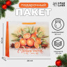 Новый год. Пакет ламинированный горизонтальный  Мандаринки , XL 49 × 40 × 19 см.