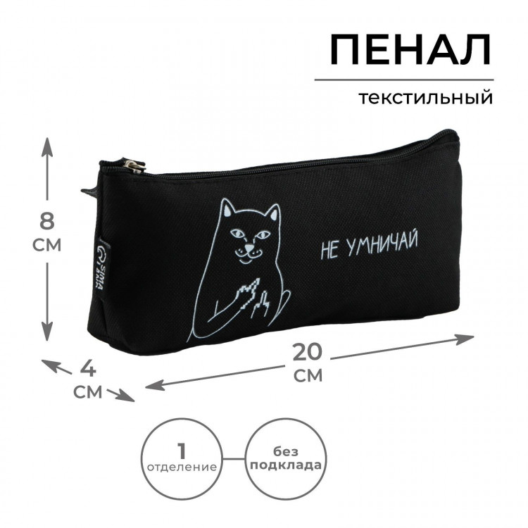 Пенал школьный текстильный «1 сентября: Не умничай» , 20 х 8 х 3 см 