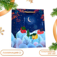 Новый год. Пакет подарочный  Зимняя ночь , 18 х 22,3 х 10 см.