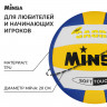 Волейбольный мяч MINSA, машинная сшивка, 18 панелей, р. 5, TPU_