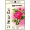 Сироп «Дамасская Роза» Pinch&Drop;стекло;1л;D=85,H=310мм