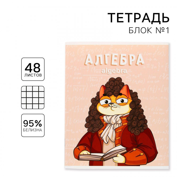 Тетрадь предметная 48 листов, А5, КОТ, со справочными материалами «1 сентября: Алгебра», обложка мелованный картон 230 гр., внутренний блок в клетку 80 гр., белизна 96%,блок №1. 