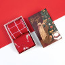 Новый год. Набор новогодних женских носков KAFTAN  Xmas  размер 36-39 (23-25 см), 2 пары