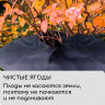 Черные приствольные кргуи (диаметр 80 см) - 5 шт.