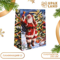 Новый год. Пакет подарочный, ламинированный,  Санта ,18 х 23 х 10 см.