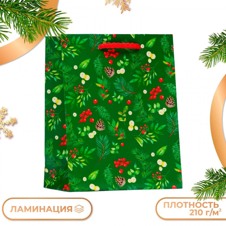 Новый год. Пакет подарочный  Веточки , 11,5 х 14,5 х 6,5 см. 