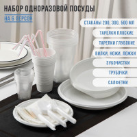 Набор пластиковой одноразовой посуды на 6 персон «Биг-Пак №1»