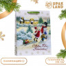 Новый год. Пакет ламинированный вертикальный  Друзья ,33 х 42 х 10 см.
