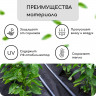 Мульчирующий материал с перфорацией (10х0,8 м)
