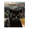 Тетрадь 48 листов в клетку Calligrata  Дикие кошки , обложка мелованная бумага, блок №2, МИКС