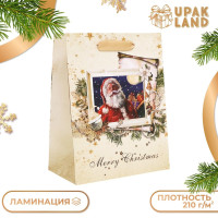 Новый год. Пакет подарочный, ламинированный,  Открытка ,18 х 23 х 10 см.