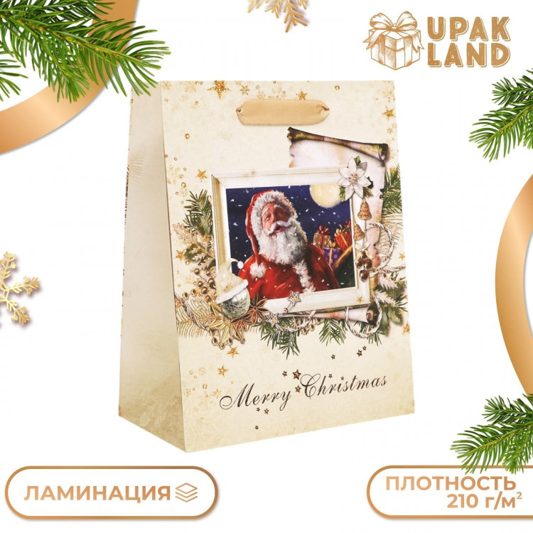 Новый год. Пакет подарочный, ламинированный,  Открытка ,18 х 23 х 10 см. 