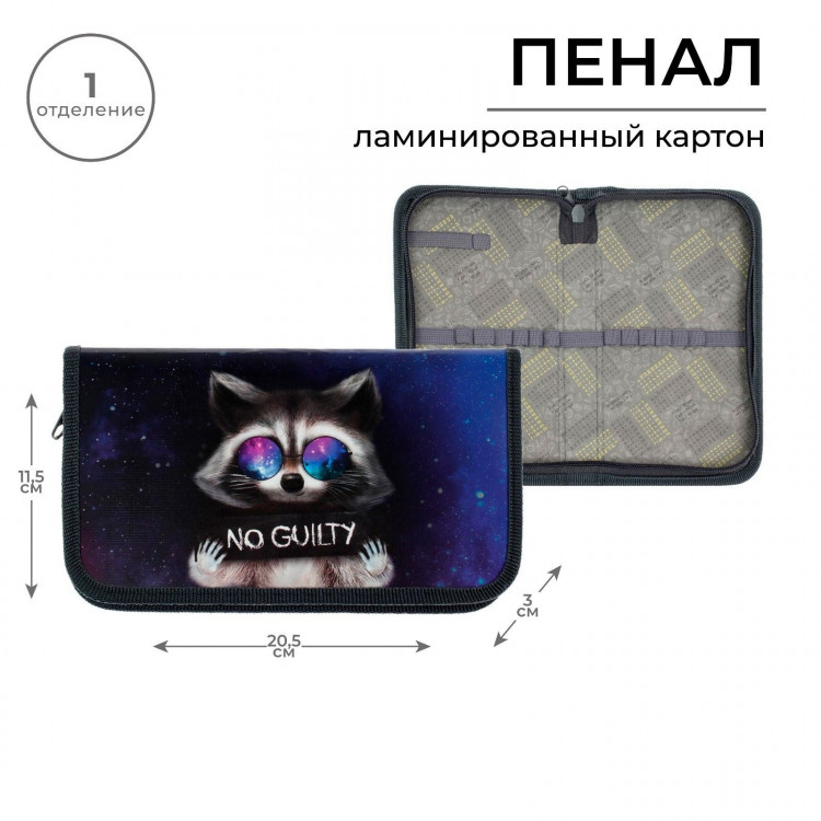 Пенал 1 секция 115 х 205 х 30 мм, Calligrata  Енот , ламинированный картон 