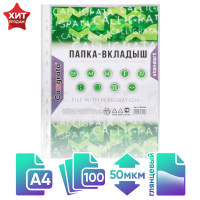 Файл-вкладыш А4, 50 мкм, Calligrata  Люкс , глянцевый, вертикальный, 100 штук