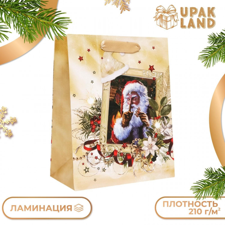 Новый год. Пакет подарочный, ламинированный,  Дед Мороз ,18 х 23 х 10 см. 