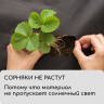 Черный мульчирующий материал с перфорацией (5х0,8 м)