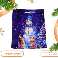 Новый год. Пакет подарочный  Дивный снеговик , 11,5 х 14,5 х 6,5 см.