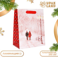 Новый год. Пакет подарочный, ламинированный,  Парочка ,18 х 23 х 10 см.