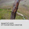 Белый садовый бинт (10х0,02 м)