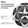 Футбольный мяч MINSA, машинная сшивка, 12 панелей, р. 4, TPE