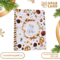 Новый год. Пакет ламинированный вертикальный  Новый Год! ,33 х 42 х 10 см.