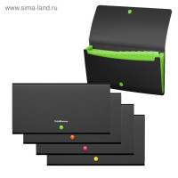 Папка-картотека, 260 х 138 мм (Travel), 12 отделений, 700 мкм, ErichKrause  Matt Accent , на кнопке, тиснение  песок , черная, микс