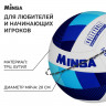 Волейбольный мяч MINSA Basic Ice, машинная сшивка, 18 панелей, р. 5, TPU