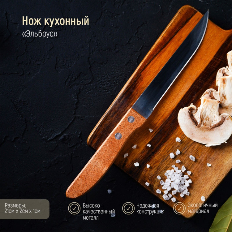 Нож кухонный Доляна «Эльбрус», лезвие 11,5 см 