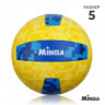 Волейбольный мяч MINSA, машинная сшивка, 18 панелей, р. 5, PVC__