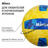 Волейбольный мяч MINSA, машинная сшивка, 18 панелей, р. 5, PVC__