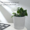Автополив для комнатных растений «Сердце»