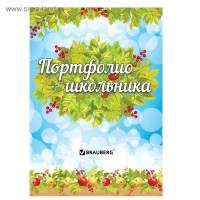 Портфолио школьника BRAUBERG, 16 листов: титульный лист, содержание, 14 разделов  Окружающий мир 
