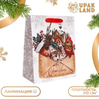 Новый год. Пакет подарочный, ламинированный,  Письмо с подарками ,18 х 23 х 10 см.