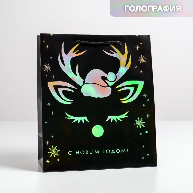 Пакет голография вертикальный «Новый год», ML 23 х 27 х 11,5 см, Новый год 