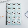 Подарочный набор новогодний обложка на паспорт и ежедневник антистресс Pandastic winter!
