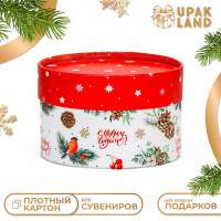 Новый год. Коробка  Снегирь на веточке  завальцованная без окна 13 х 8,5 см