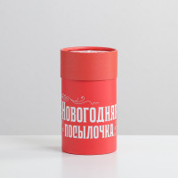 Коробка подарочная «Новогодняя посылочка», 8 х 14,5 см, Новый год