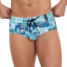 Синие плавки с принтом Cassiel Swimsuit Brief