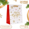 Новый год. Пакет подарочный, ламинированный,  С Рождеством! ,18 х 23 х 10 см.