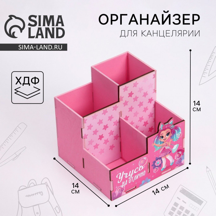 Органайзер для канцелярии «Учусь на отлично» 