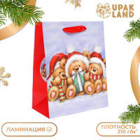 Новый год. Пакет подарочный, ламинированный,  Медвежата ,18 х 23 х 10 см.